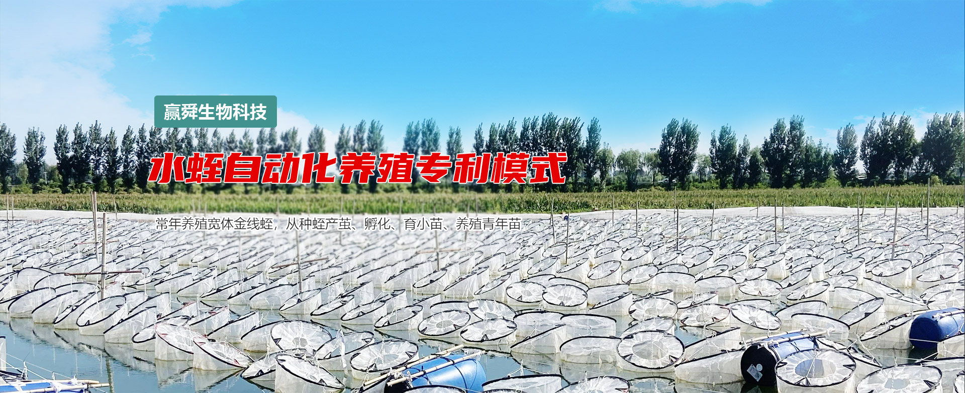 XPJ官方网站