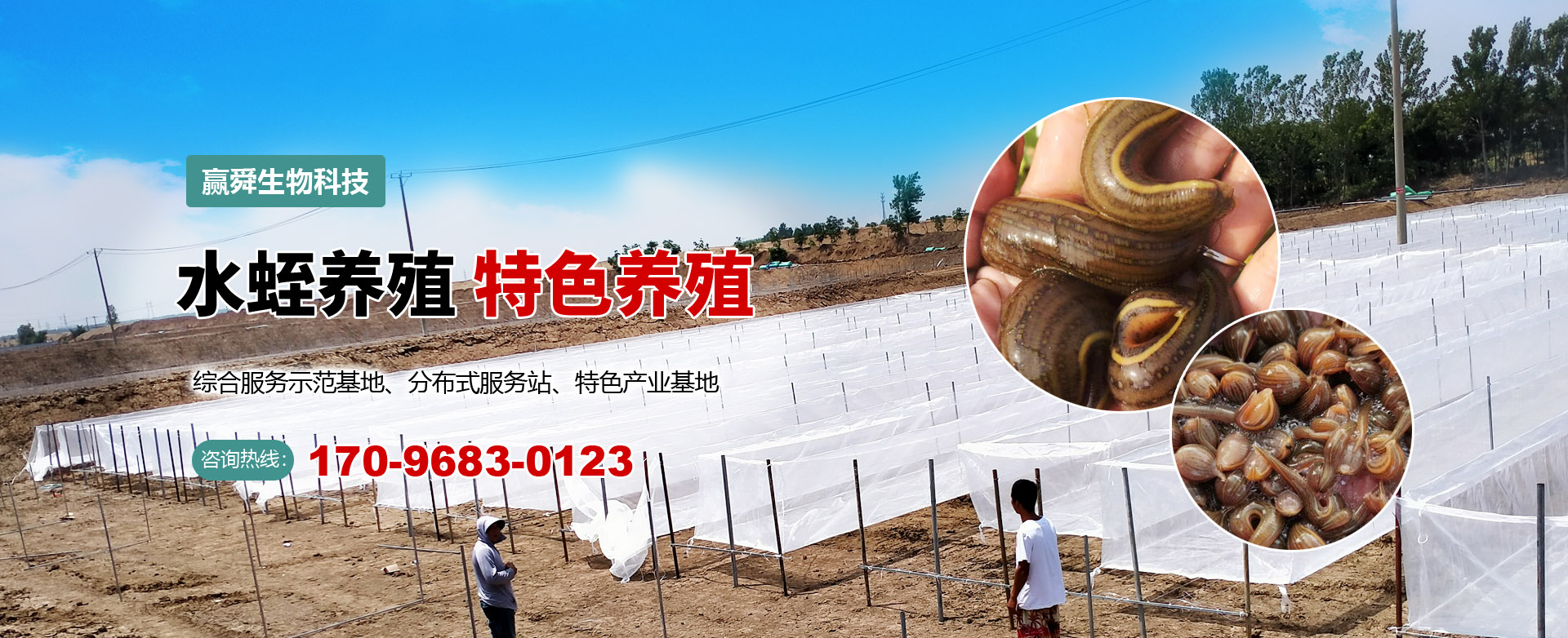 XPJ官方网站