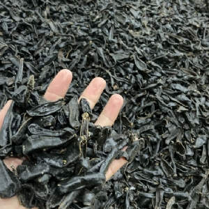 XPJ官方网站成品