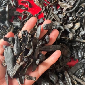 XPJ官方网站成品