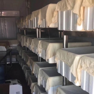 XPJ官方网站成品