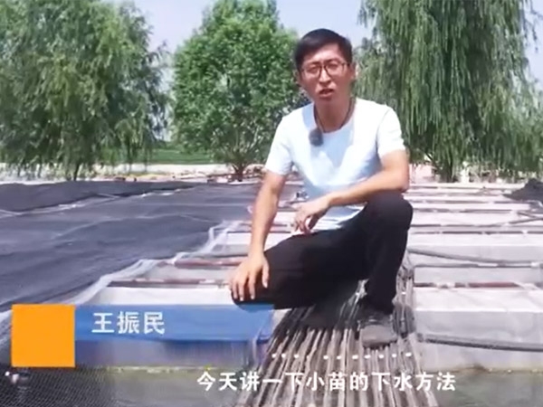 XPJ官方网站小苗的下水方法
