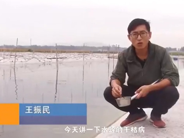 XPJ官方网站干枯病发生活规律及防治方法