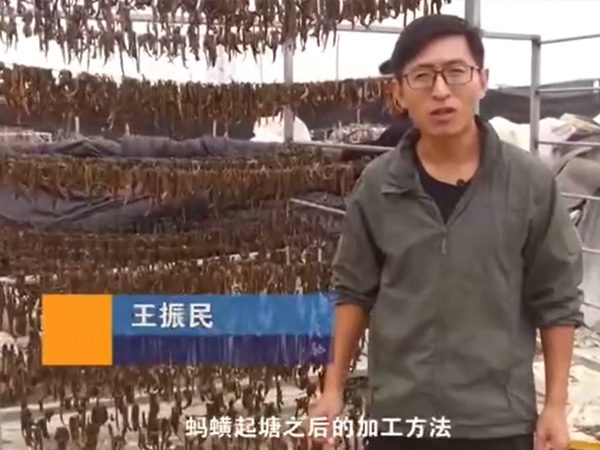 XPJ官方网站加工方法