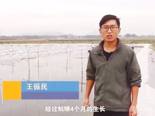 XPJ官方网站收获流程