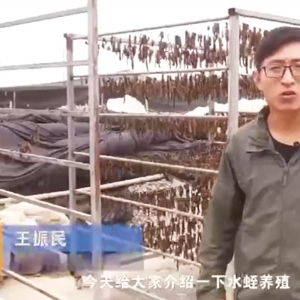 行业现状