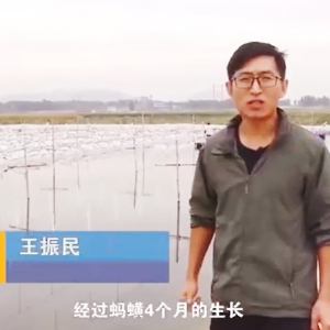 XPJ官方网站收获流程